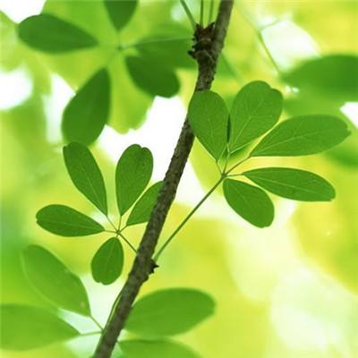 4部台片密集登陆大陆,台媒直呼“相当罕见”